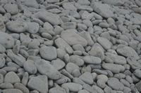 
DSC00193
